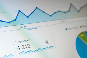 SEO et SEA - Services Panda Marketing Digital